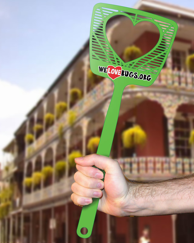 swatter